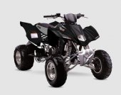 2009 UM MTX-450R photo
